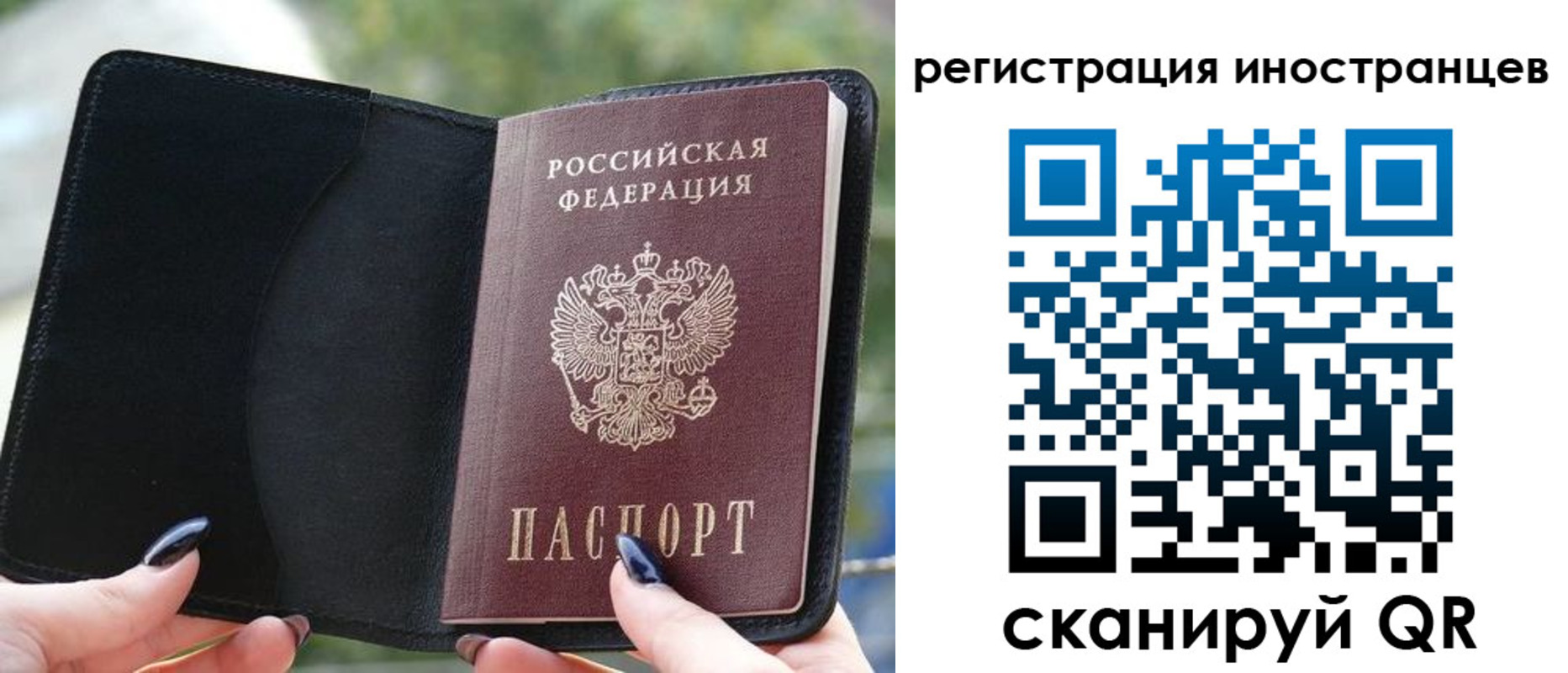 найти адрес прописки в Кудрово